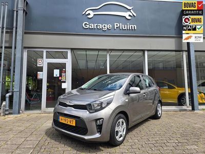 Grijs Occasion 2020 Kia Picanto Hatchback | € 11.940 (Eerlijke prijs)