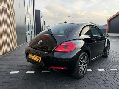 VW Beetle