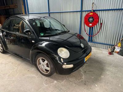 VW Beetle