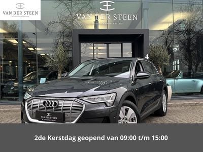 Grijs Gebruikt 2020 Audi e-tron SUV | € 31.745 (Goede deal)