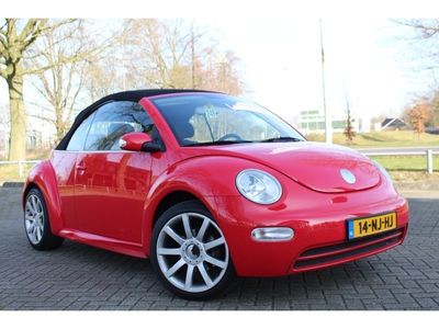 VW Beetle