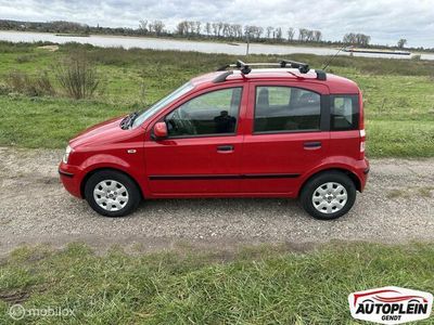 tweedehands Fiat Panda 1.2 Edizione Cool