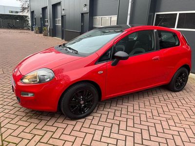 Occasion Fiat Punto Easy 86 PK (63 kW) 2012 Rood Hatchback