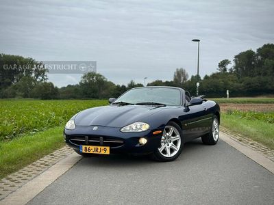 Jaguar XK8