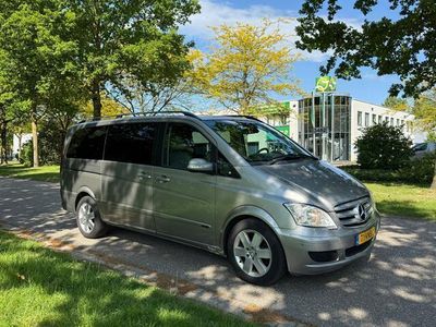 Mercedes Viano
