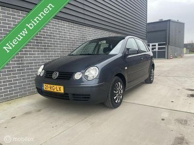 VW Polo