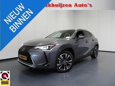 Occasion Lexus UX 250h 184 PK (135 kW) 2021 Grijs SUV