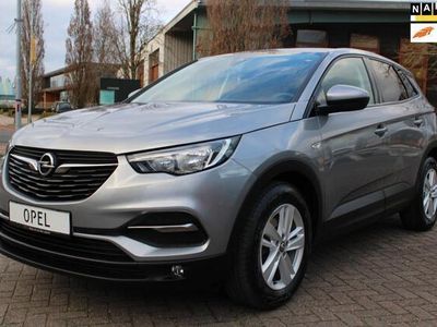 tweedehands Opel Grandland X Grandland XSPECIAL EDITION CRUISE CONTROL