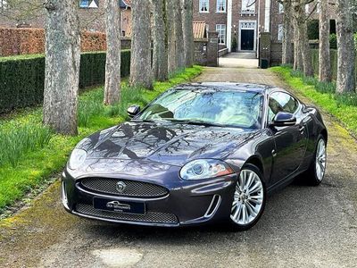 Jaguar XK