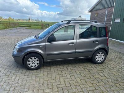 tweedehands Fiat Panda 1.2 Edizione Cool