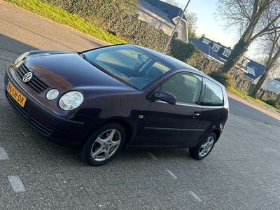 VW Polo