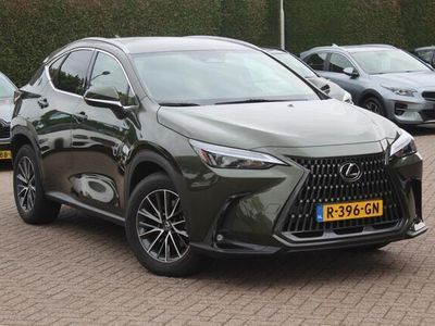 Occasion Lexus NX450h+ Launch Edition 237 PK (174 kW) 2022 Groen SUV