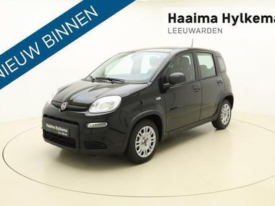 tweedehands Fiat Panda 1.0 Hybrid | 5-zits | Climate control | Parkeersensoren achter | Snel leverbaar! |