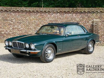 Jaguar XJ6