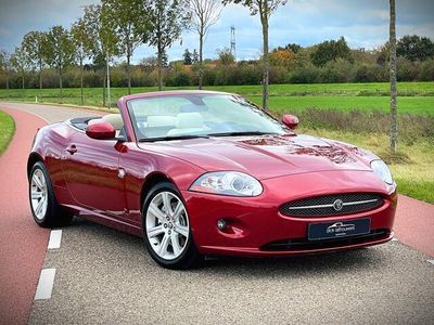 tweedehands Jaguar XK 4.2 V8 Convertible / YOUNGTIMER / FULL SERVICE FIL