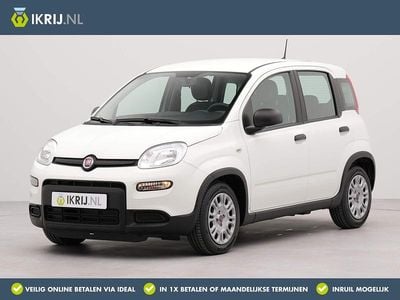 Occasion Fiat Panda Urban 69 PK (50 kW) 2024 Wit Hatchback