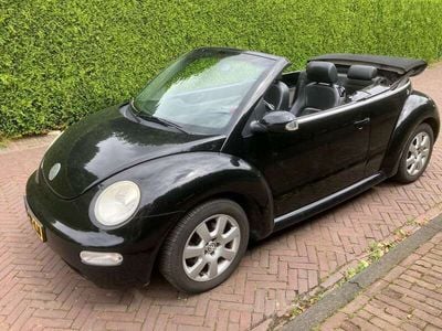 VW Beetle