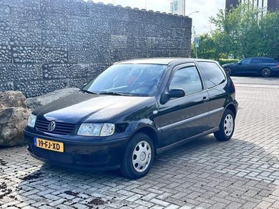 VW Polo