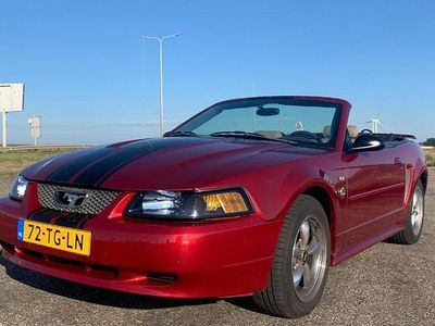 Gebruikt 2004 Ford Mustang Convertible Cabriolet | € 7.950