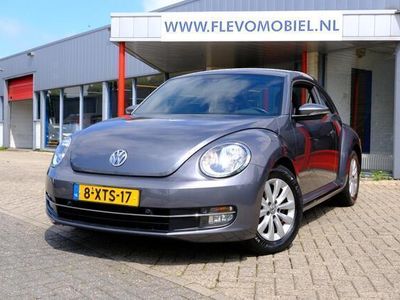 VW Beetle