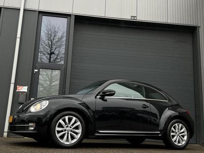 VW Beetle