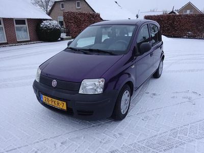 Paars (metallic) Occasion 2011 Fiat Panda Hatchback | € 1.750 (Eerlijke prijs)