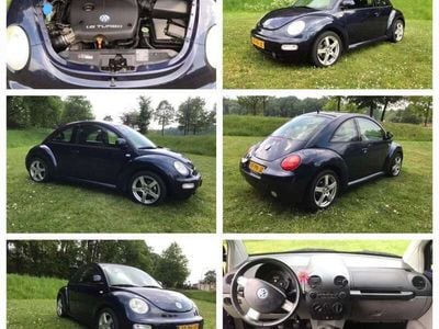 VW Beetle