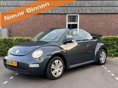VW Beetle