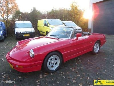 Rood Occasion 1989 Alfa Romeo Spider Cabriolet | € 7.950
