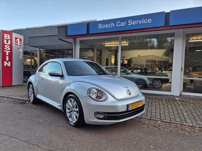 VW Beetle