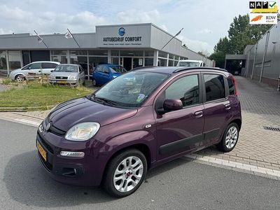 Paars Gebruikt 2012 Fiat Panda Lounge Hatchback | € 3.499 (Eerlijke prijs)
