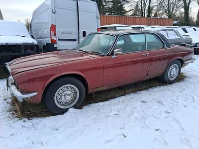 Occasion Jaguar XJ 1981 Rood Sedan