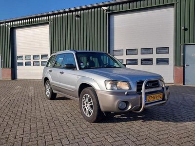 Grijs Occasion 2004 Subaru Forester SUV | € 3.750 (Duur)