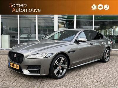 tweedehands Jaguar XF P250 Portfolio R-Sport | Alcantara hemel | Stuurve