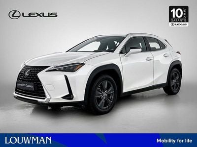Wit Occasion 2024 Lexus UX 250h SUV | € 37.945 (Iets duurder)