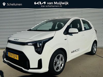 Wit Occasion 2025 Kia Picanto Hatchback | € 19.999 (Eerlijke prijs)