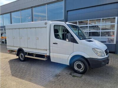 tweedehands Mercedes Sprinter 313 CDI/ 5+5 Turen Cold/ Eis/ Ice/-40/ Carlsen Baltic