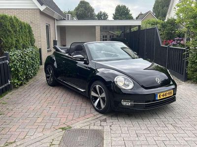 VW Beetle