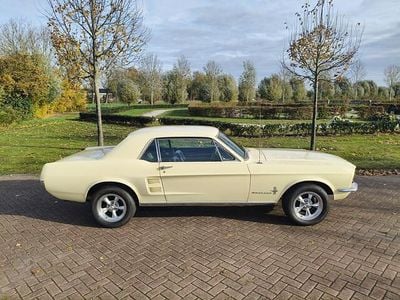 Wit Occasion 1967 Ford V8 Coupé | € 31.950