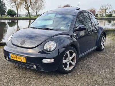 VW Beetle