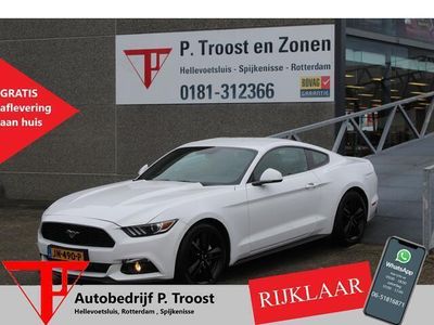 tweedehands Ford Mustang Fastback 2.3 EcoBoost NL auto/Dealeronderhouden/Navigatie/Lederen elektrische stoelen/Sfeerverlichting/Stoelverwarming/Stoelverkoeling/Shaker installatie/Keyless/Achteruitrijcamera/Cruise control/Inklapbare spiegels/19 Inch velgen