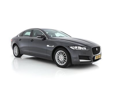 tweedehands Jaguar XF 2.0d R-Sport Aut. *NAVI-PROF | XENON | VOLLEDER | CAMERA | ECC | PDC | CRUISE*