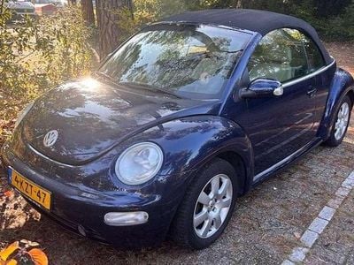 VW Beetle
