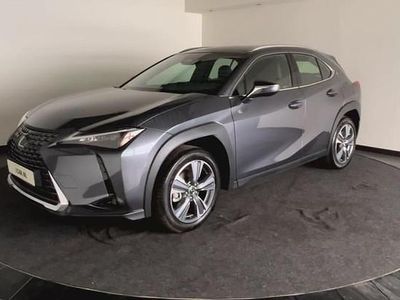 Nieuw 2025 Lexus UX 300e Luxury Line SUV | € 34.450