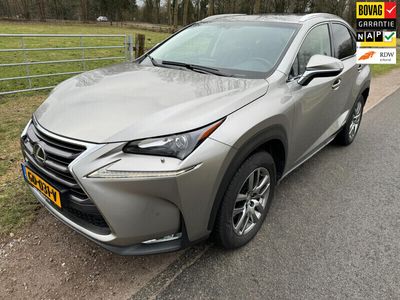 tweedehands Lexus NX300h 