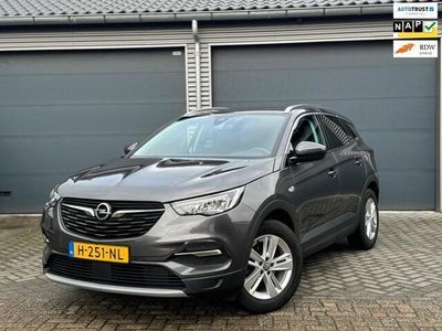 tweedehands Opel Grandland X 1.2 TURBO BUSINESS EXECUTIVE VELE OPTIES TREKHAA