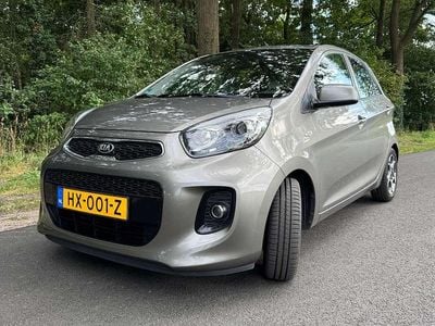 Grijs Occasion 2016 Kia Picanto Hatchback | € 5.749 (Eerlijke prijs)