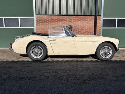 Occasion Austin Healey 3000 MK III 1966