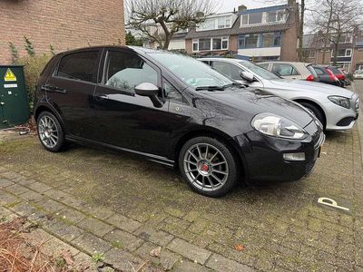 Zwart Gebruikt 2015 Fiat Punto Young MPV | € 7.495 (Duur)
