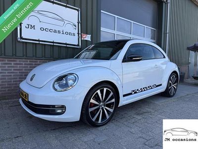 VW Beetle